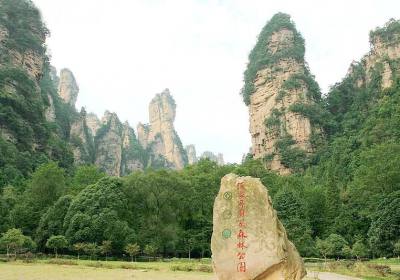 走湘西——張家界、鳳凰古城游記(一)